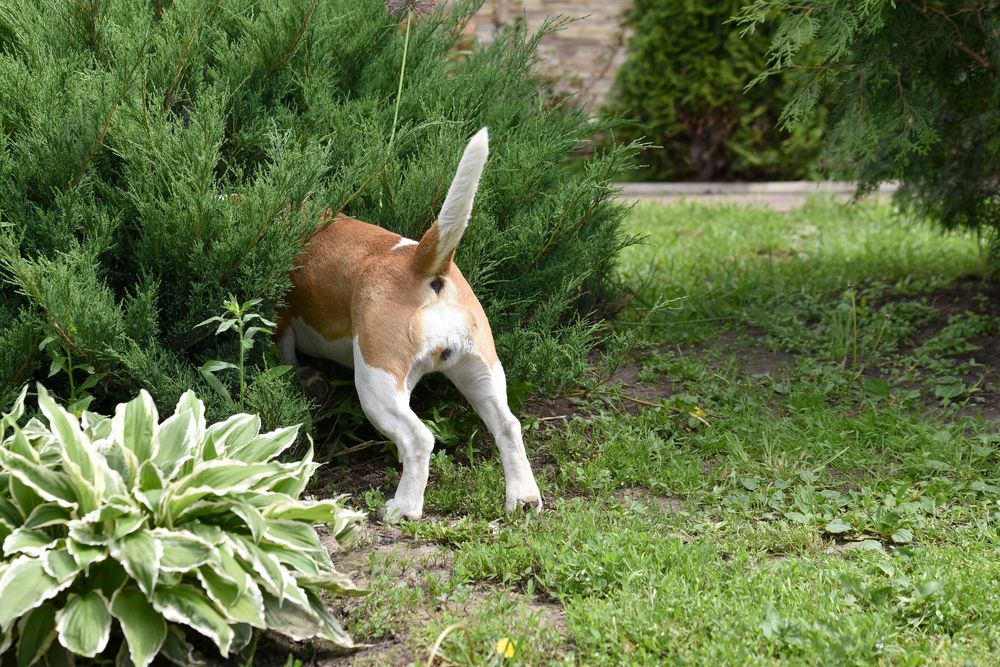 Photograph by наталья залогина