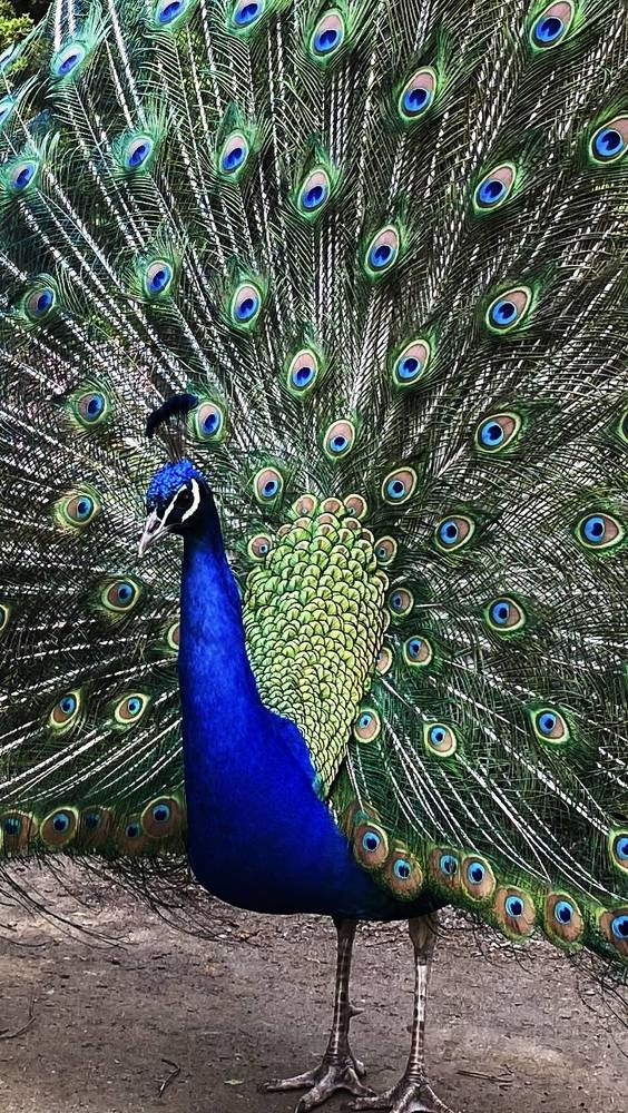 Photograph by Tatjana Schlag