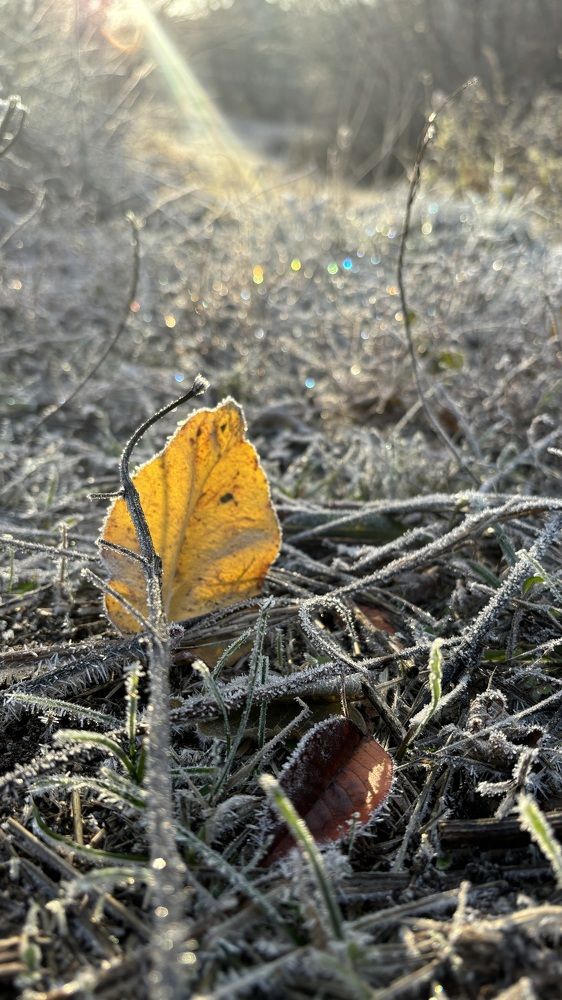 Photograph by Елена Гущина