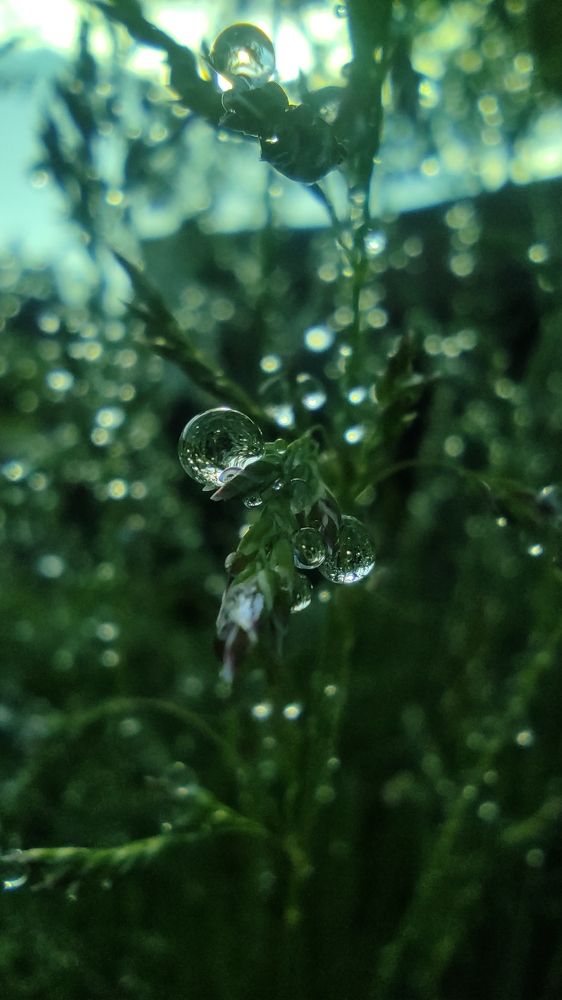 Photograph by Виолетта Клюева