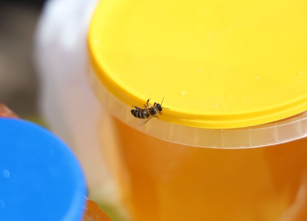 Фотография автора Роман Савин