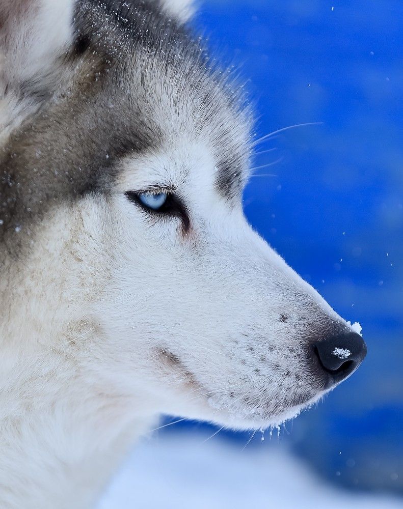 Photograph by Наталья Сергеева