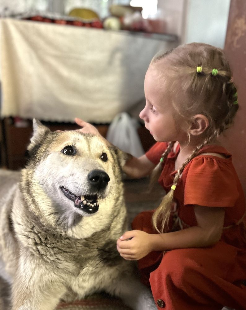 Photograph by Елена Гущина