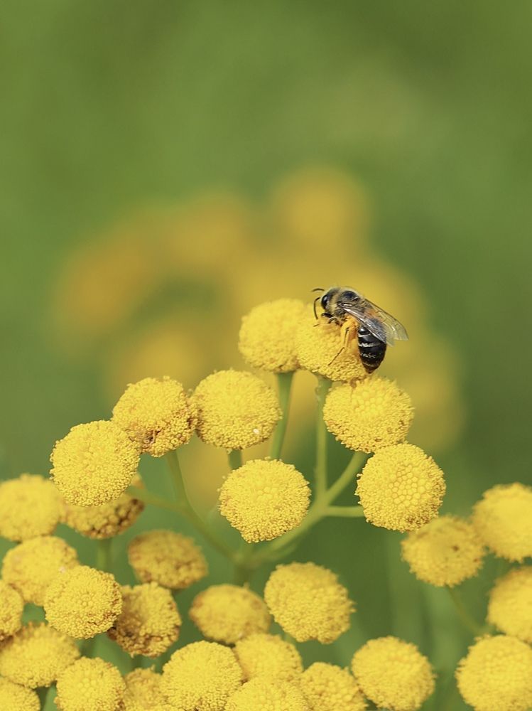 Photograph by Рина Серёгина