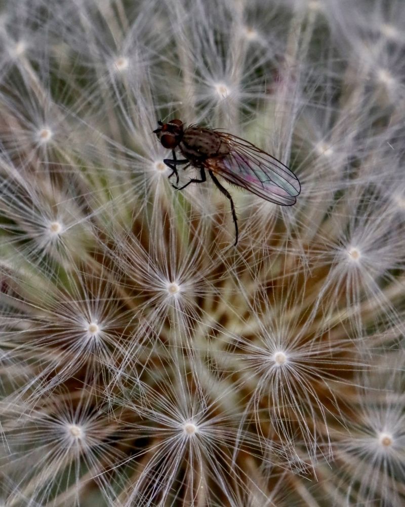 Photograph by Рина Серёгина