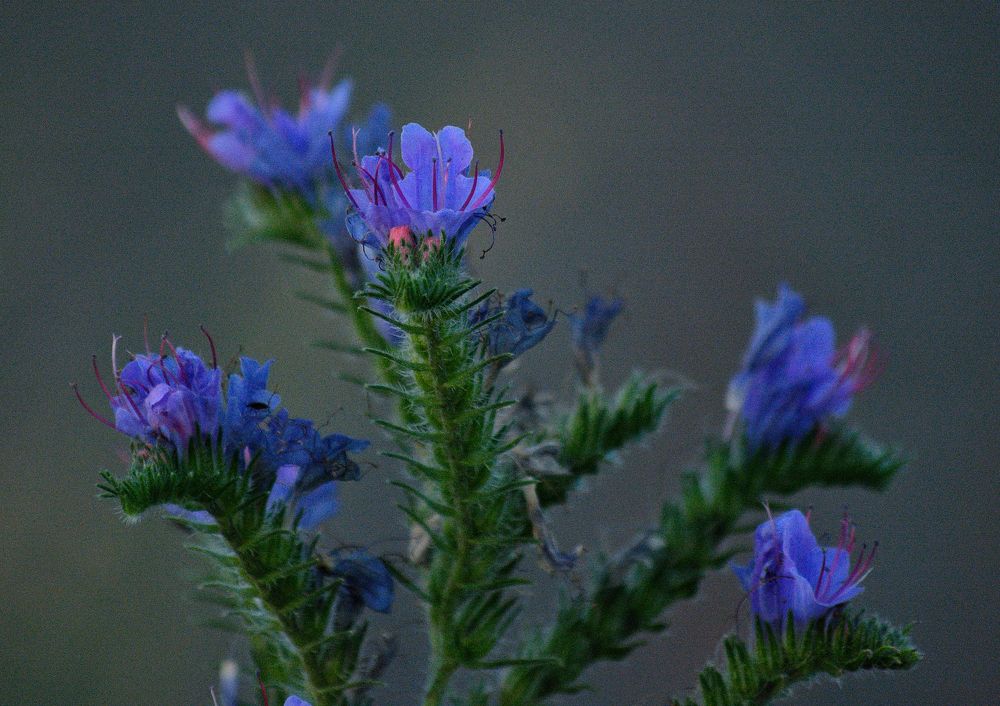 Photograph by Сергей Симаков