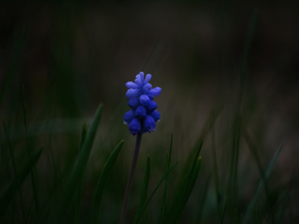 Photograph by Сергей Симаков