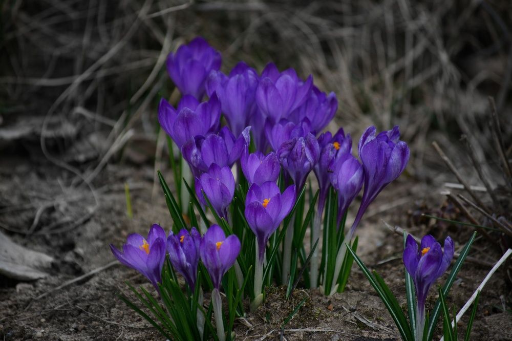 Photograph by Сергей Симаков