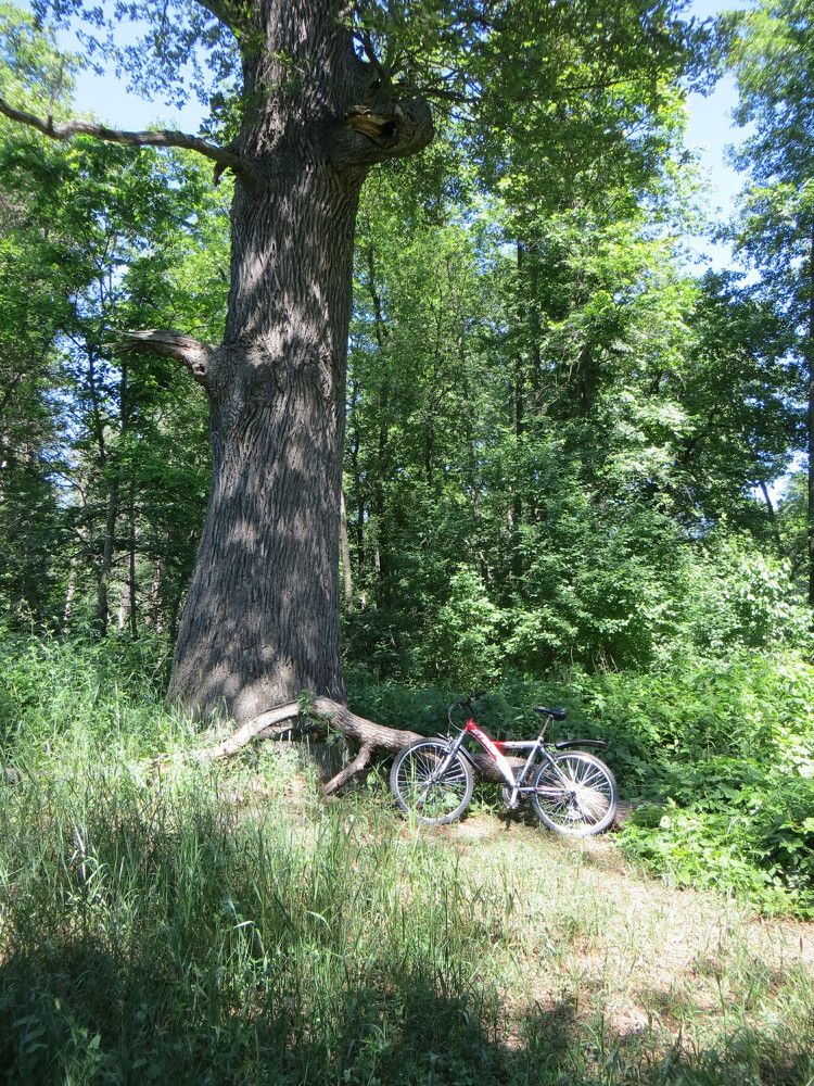 Photograph by Татьяна Поминова