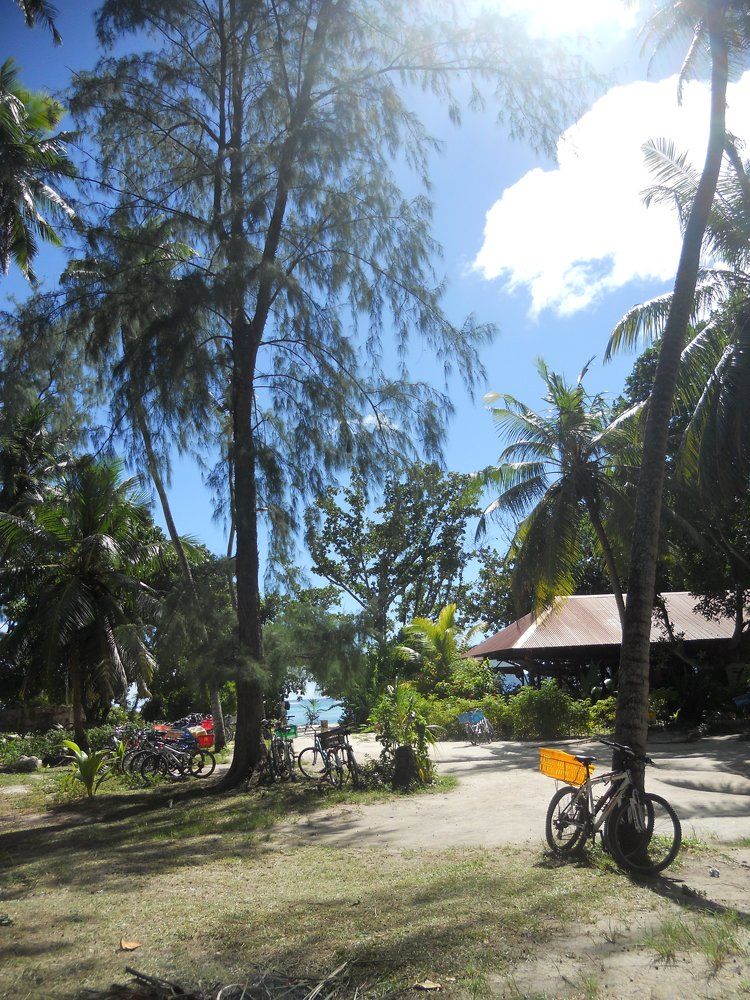 Photograph by Татьяна Поминова