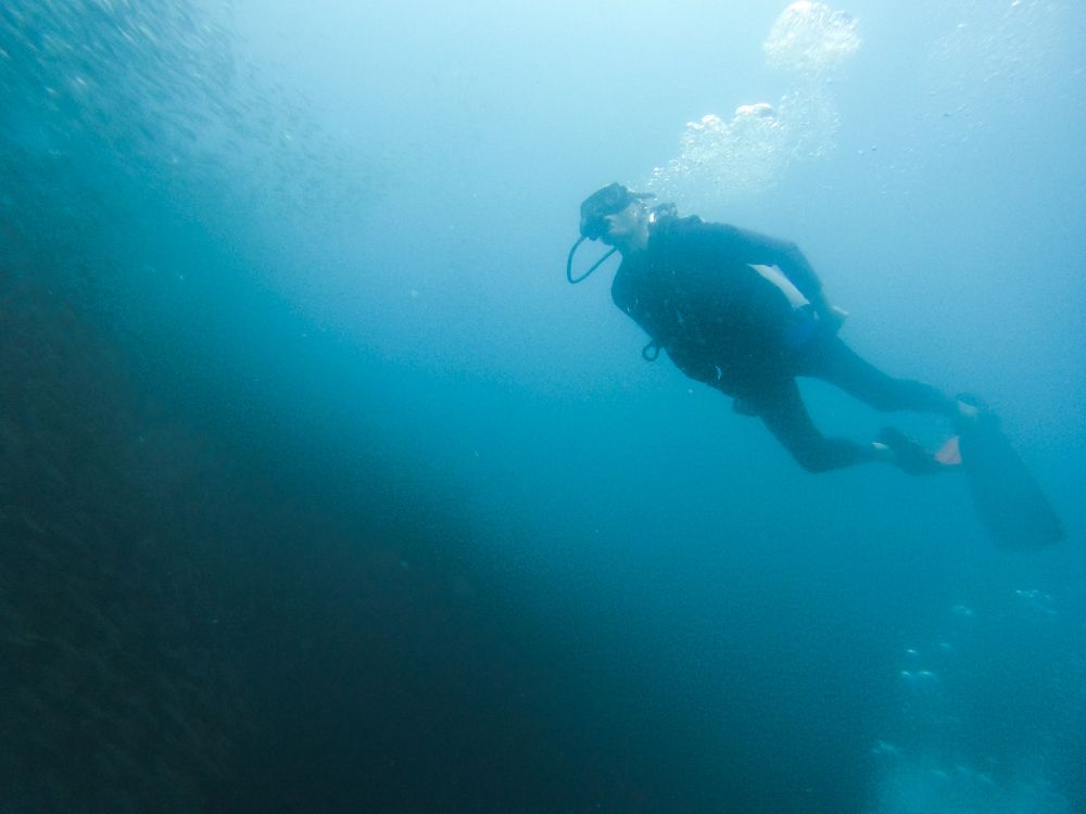 Photograph by Вадим Сташкевич