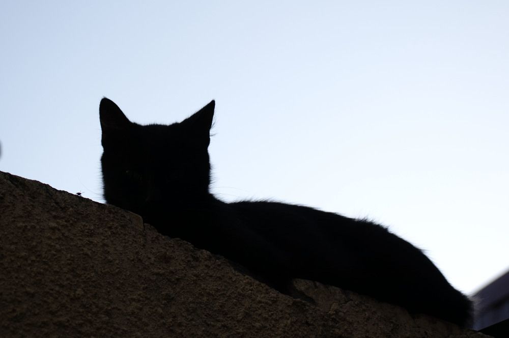 Photograph by Инна Воробьева