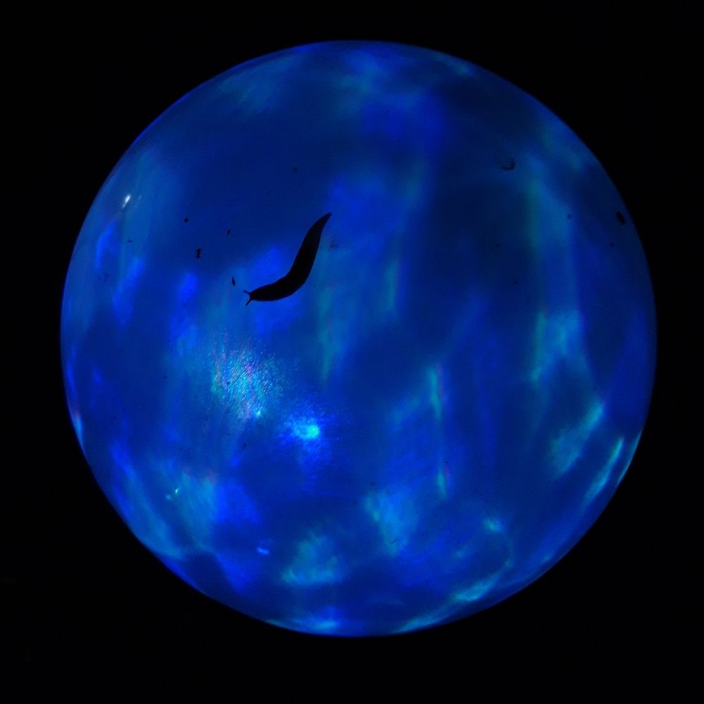 Photograph by Елена Синицына