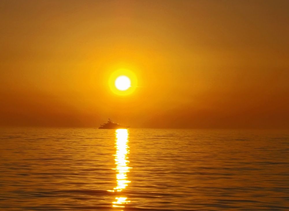 Photograph by Olga Kot