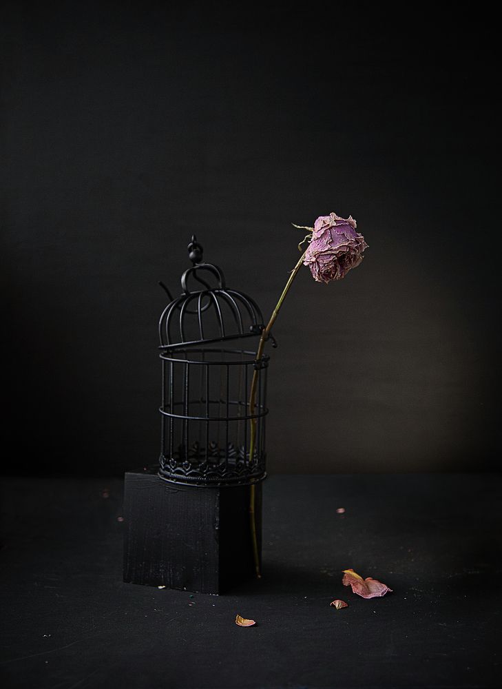 Photograph by Светлана Кавказская