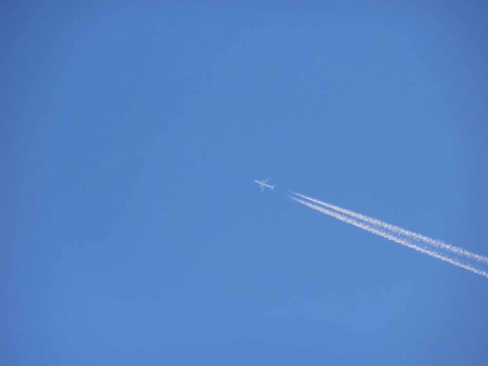 Photograph by Olga Kot