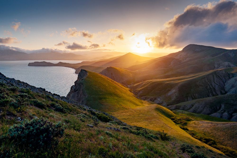 Фотография автора Васильева Дарья