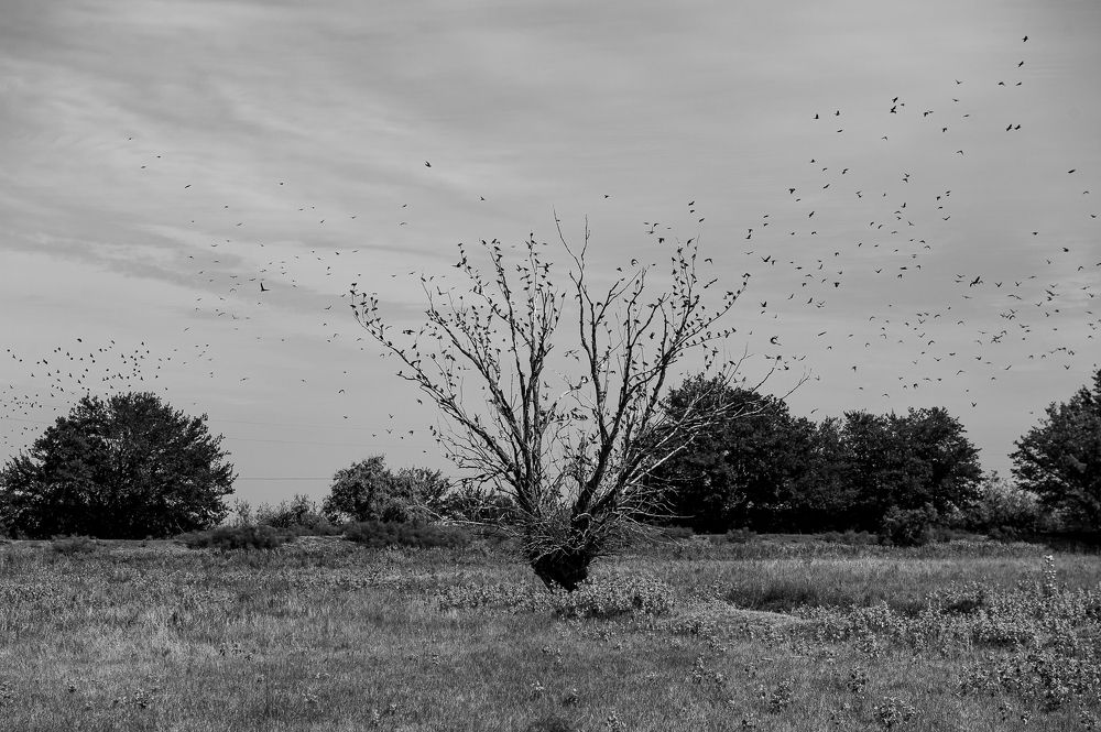 Фотография автора Елена Ефименко