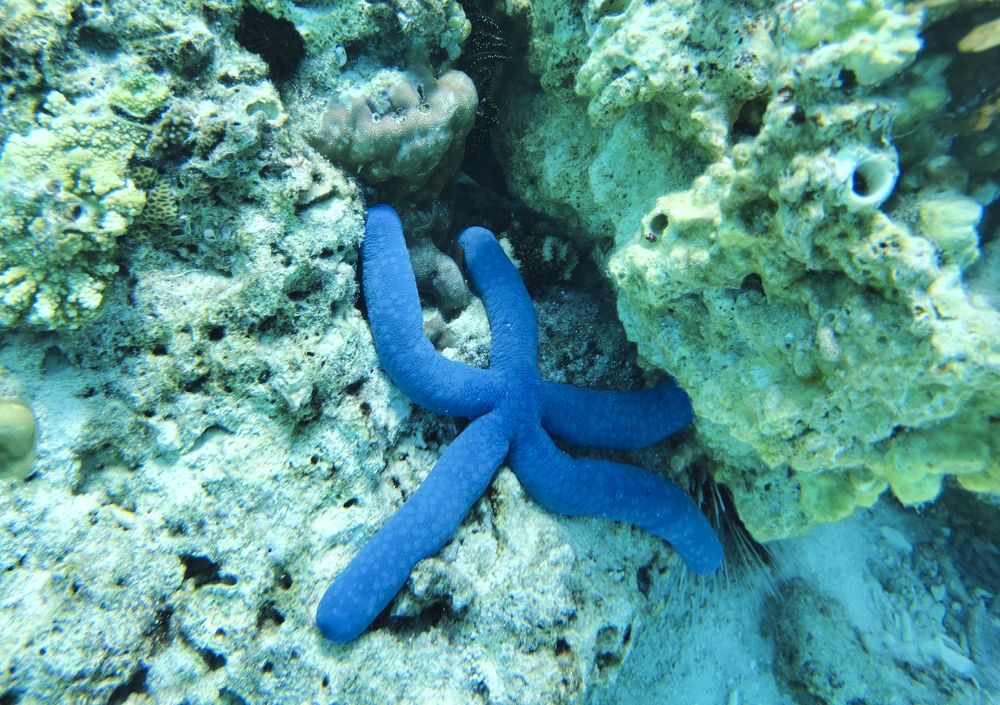 Photograph by Вадим Сташкевич