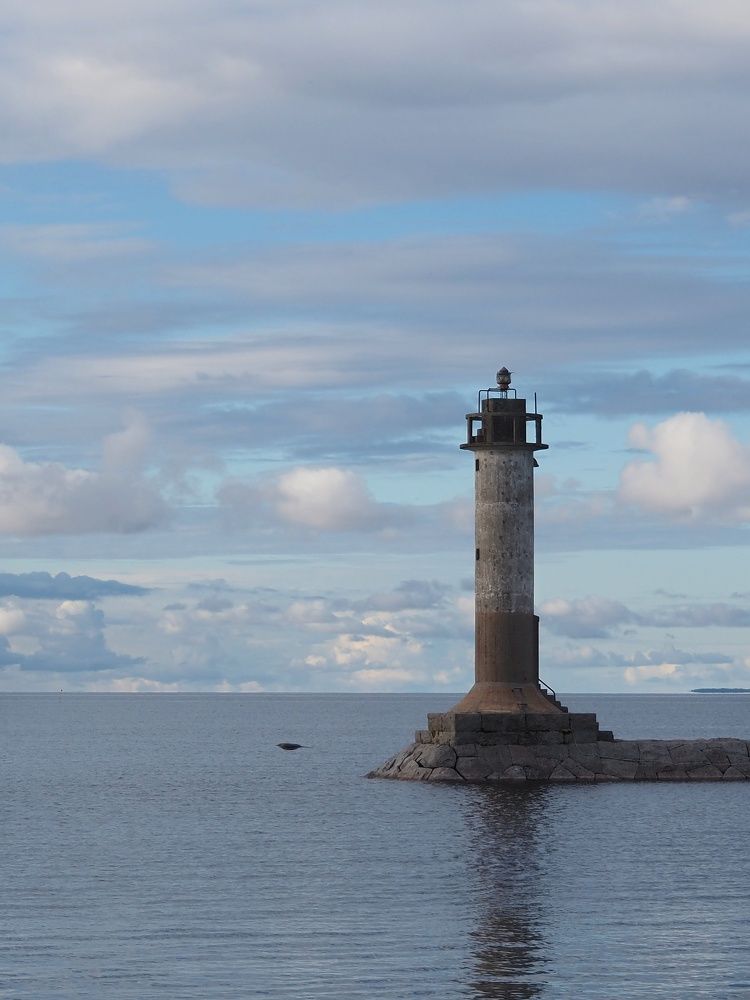 Photograph by Елена Синицына