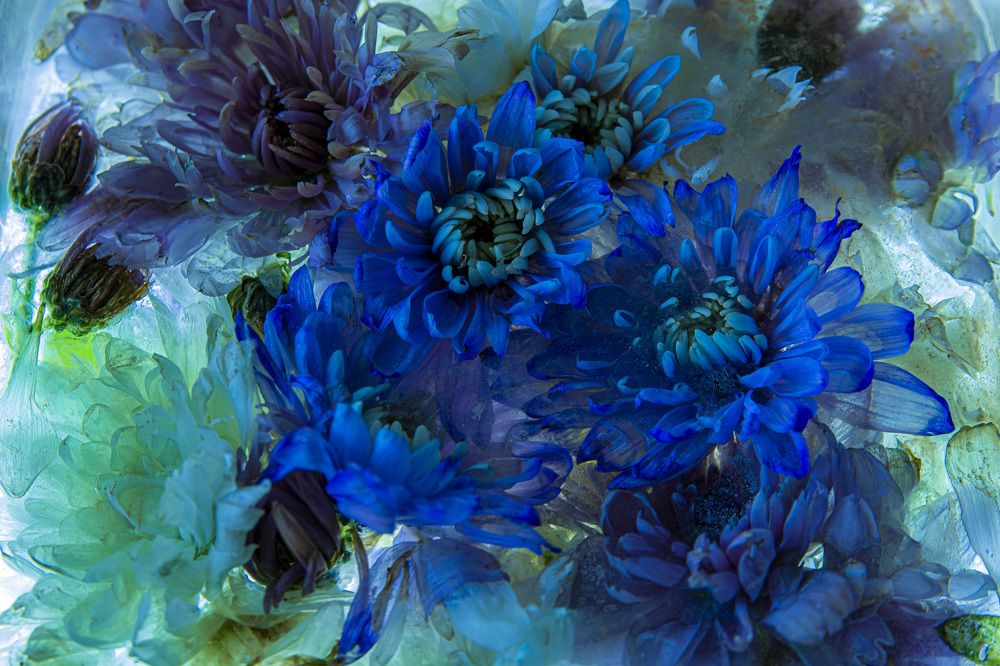 Photograph by Игорь Смирнов