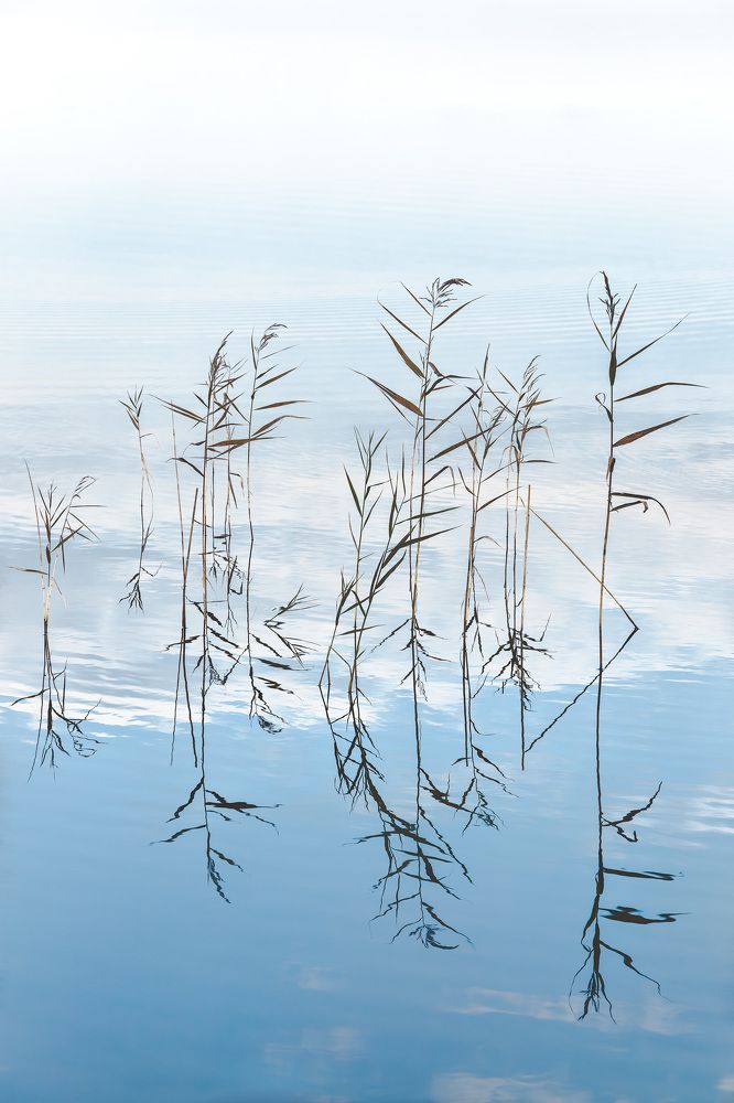 Photograph by Александр Охотин