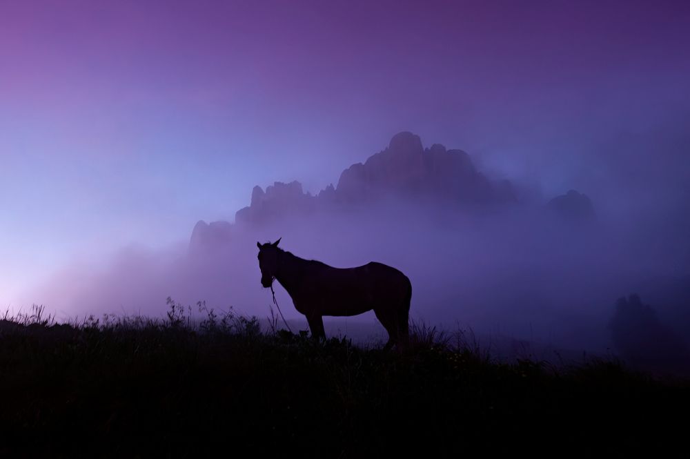 Фотография автора Васильева Дарья