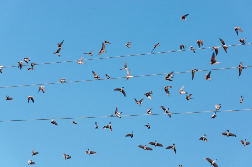 Фотография автора Павел Арсеев