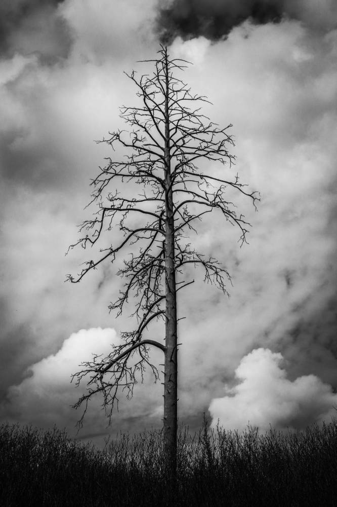 Photograph by Евгения Журавлева