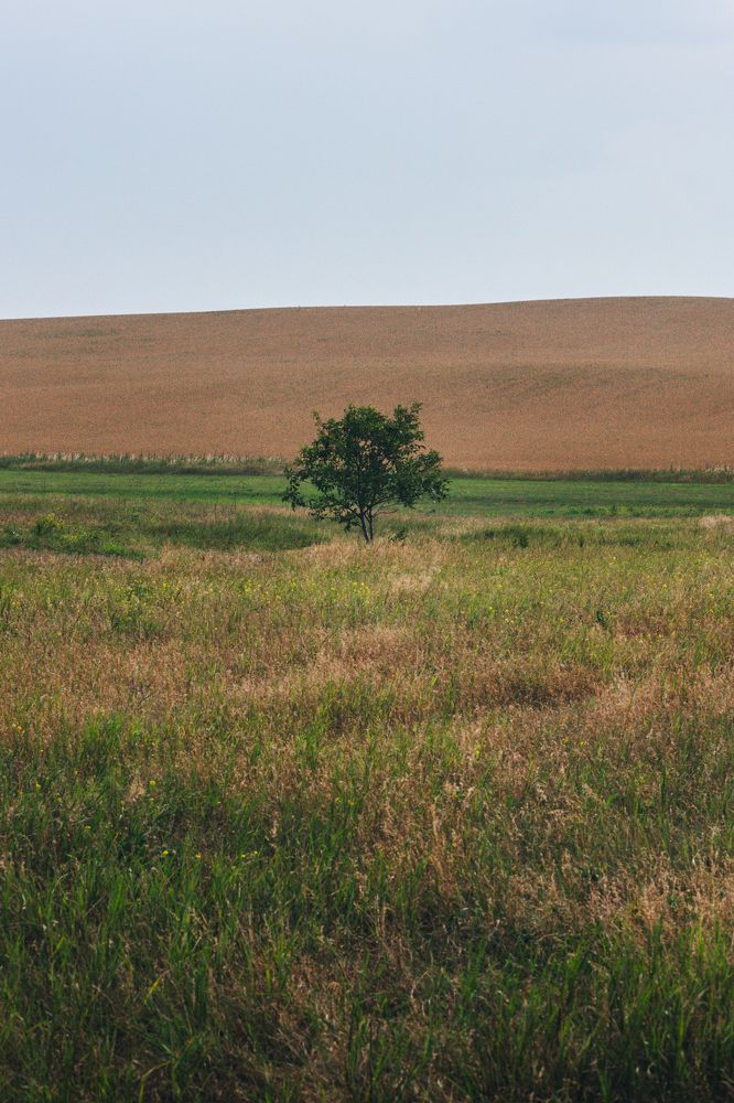 Фотография автора Павел Арсеев