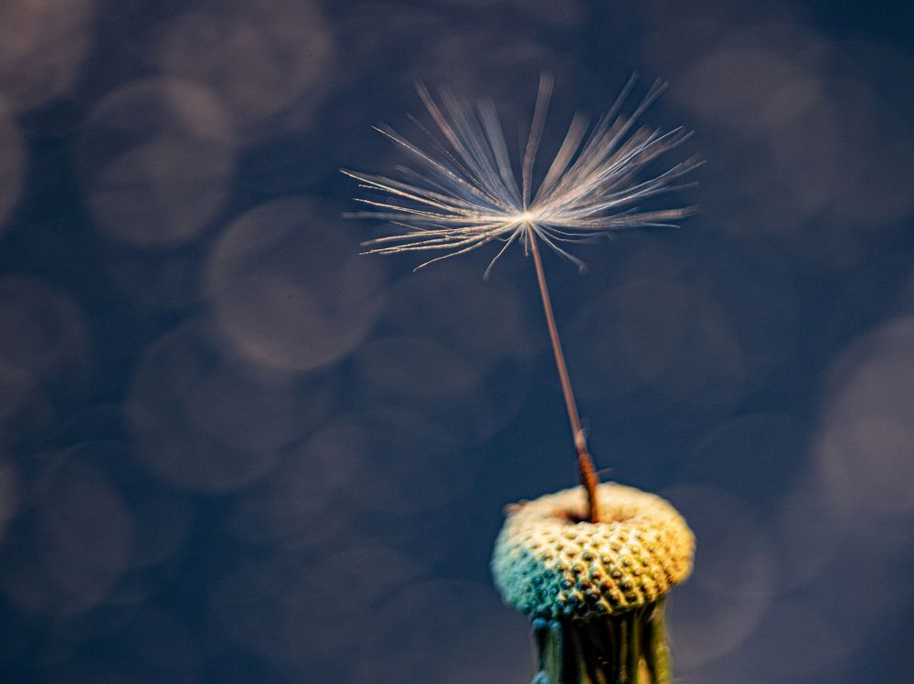 Photograph by Дмитрий Давидов