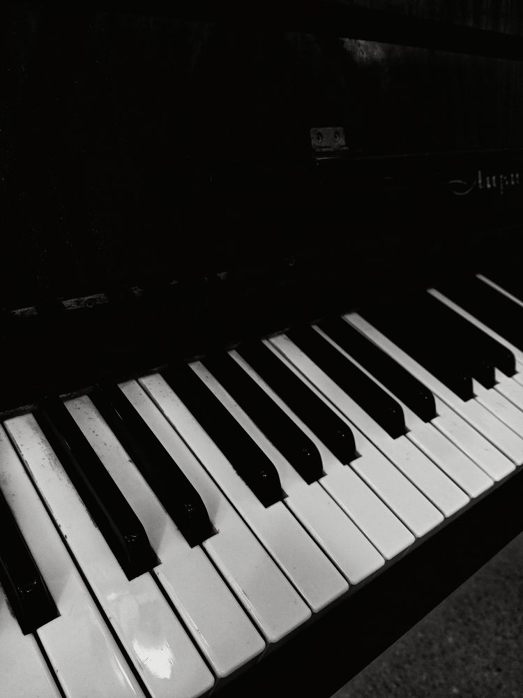 Photograph by Анастасия Псарёва