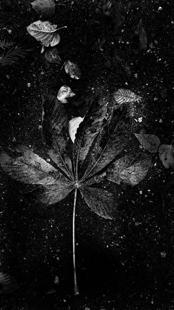 Photograph by Елена Гостева