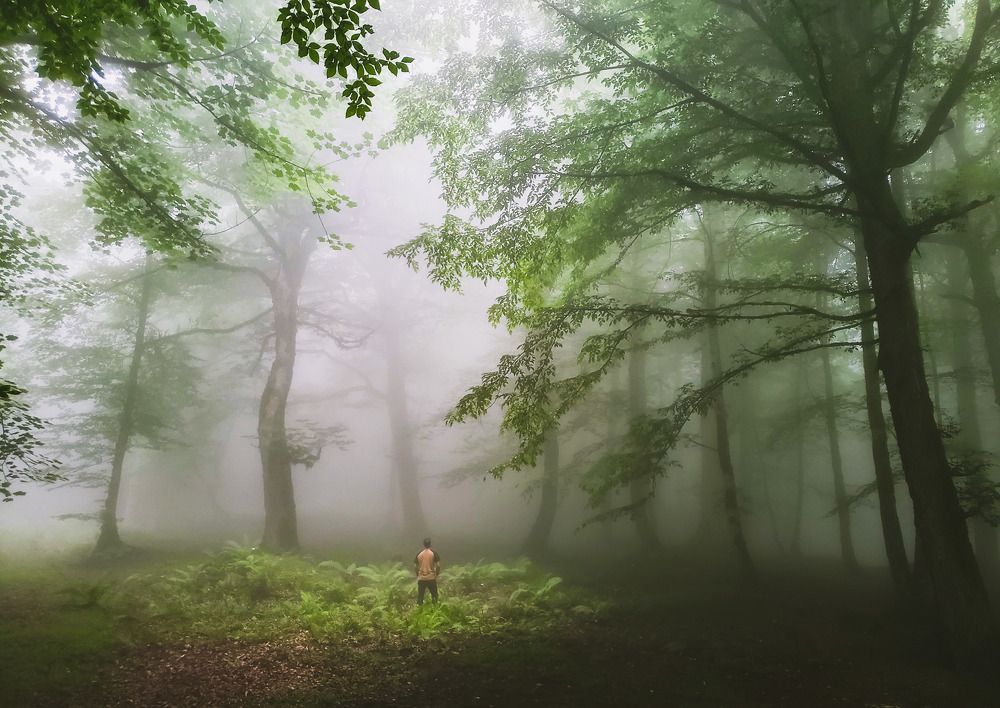 Photograph by amir shadpoor