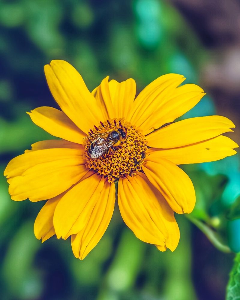 Photograph by Алексей Гуминский