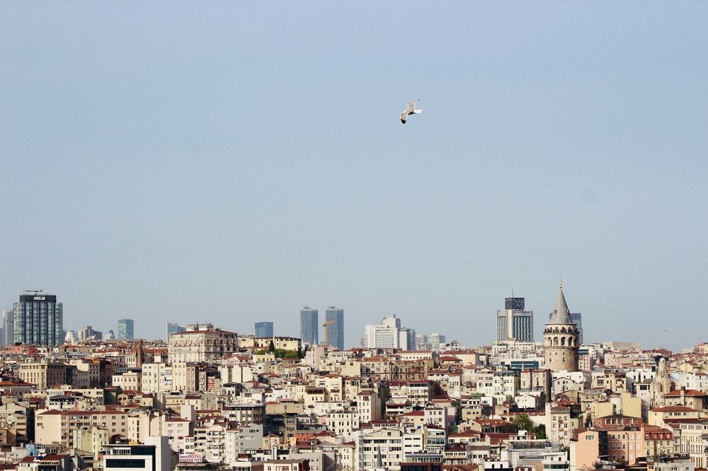 Photograph by Александра Тимошенко