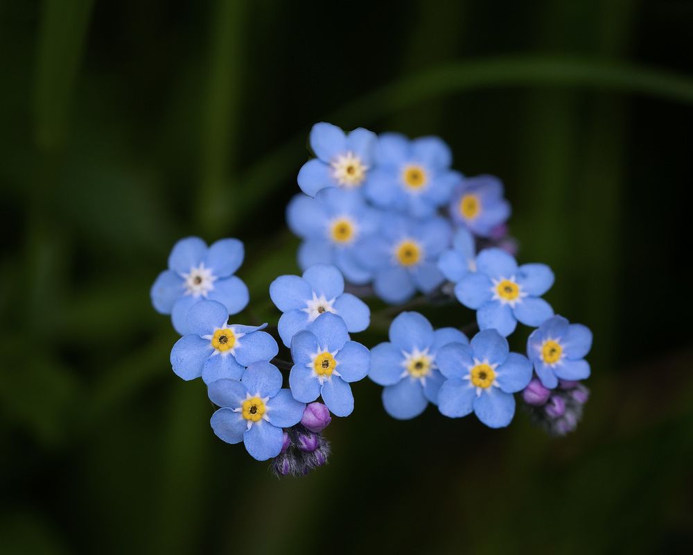 Photograph by LYUDMYLA POKRYSHEN