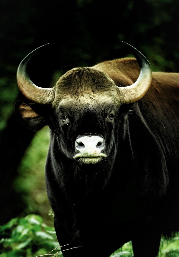 Photograph by SARAVANA MANICKAM