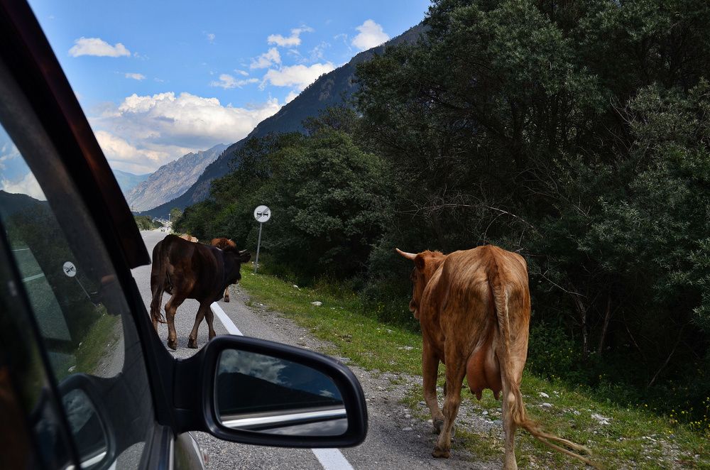 Фотография автора Вадим Писарев