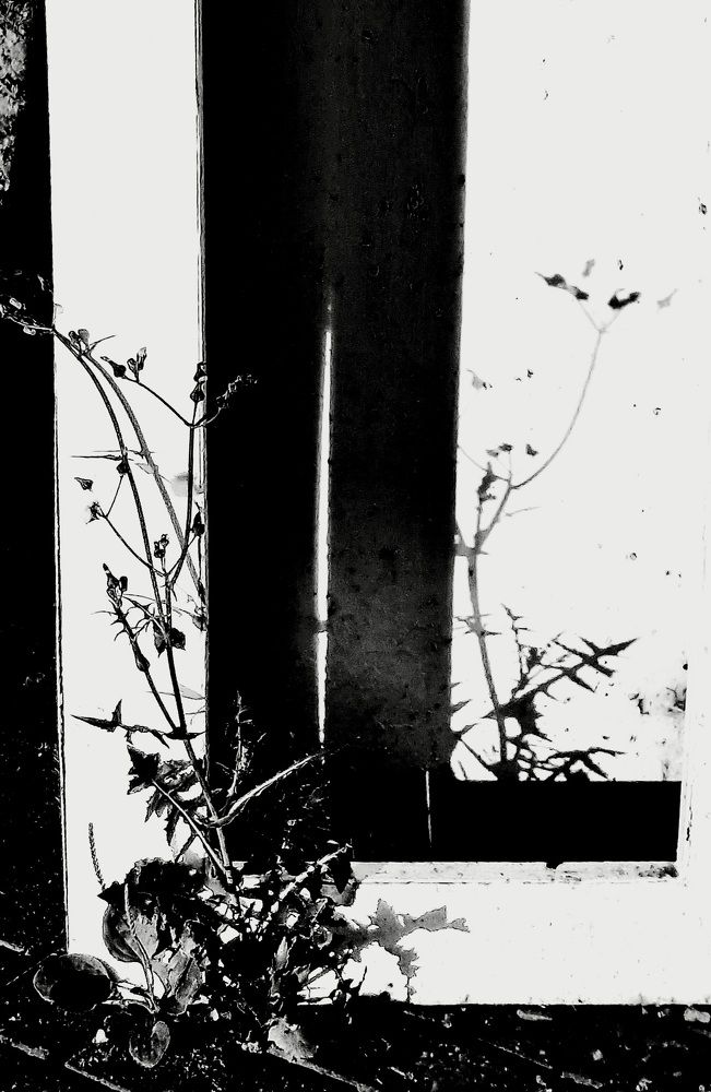 Photograph by Марина Игнатьева