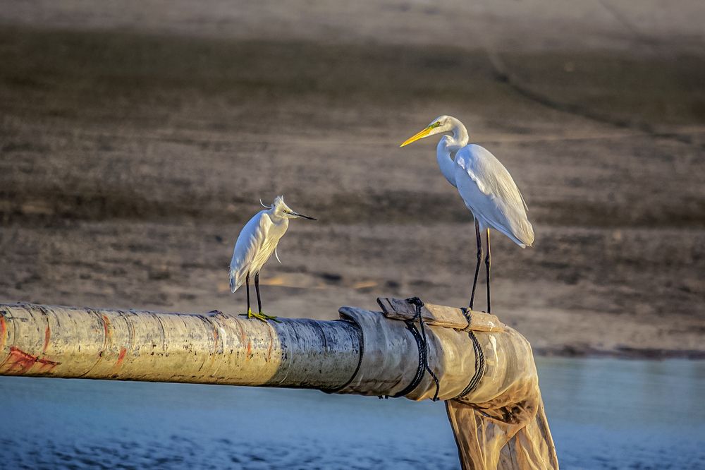 Photograph by Марина Ческис