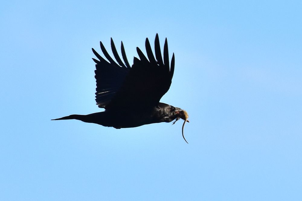 Photograph by Николай Абакумов