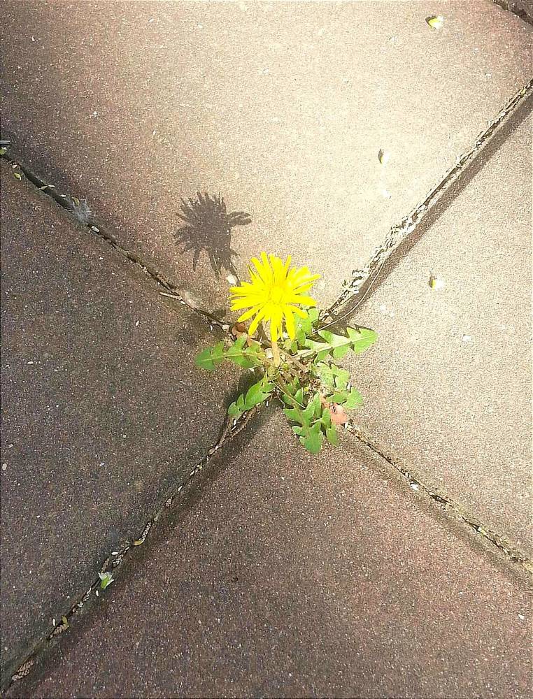 Перекресток