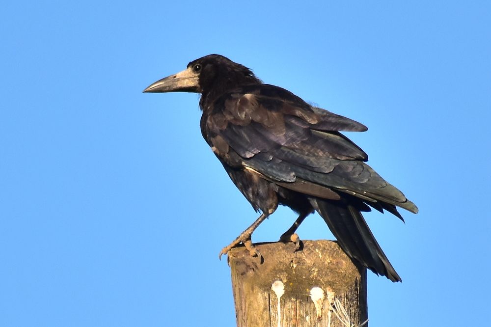 Photograph by Николай Абакумов