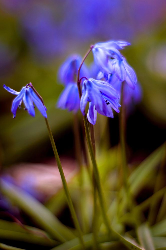 Photograph by Людмила Новосёлова