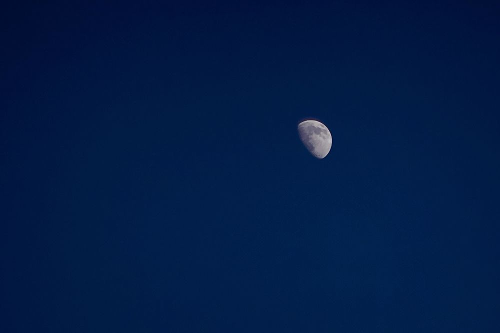 Photograph by Людмила Новосёлова