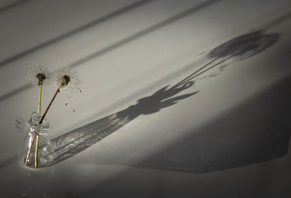 Фотография автора Оксана Белозерская