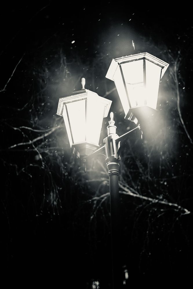 Photograph by Анна Ганькова