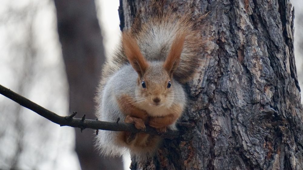 Photograph by Павел Каштанкин