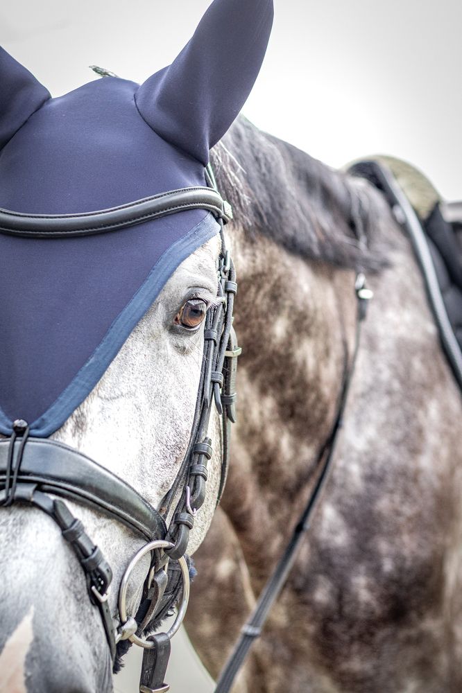 Photograph by Анастасия Лученок